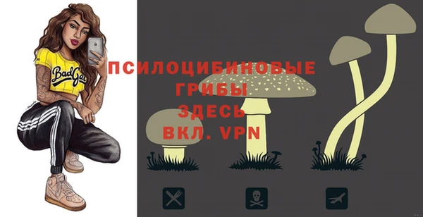стафф Вяземский