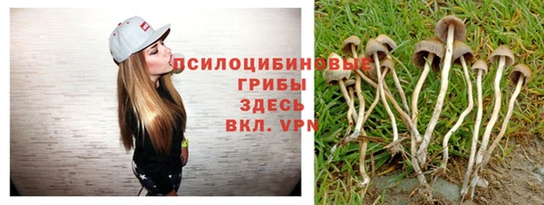 стафф Вяземский