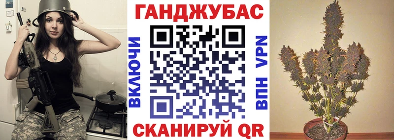 Бошки Шишки конопля купить наркотик Жуков